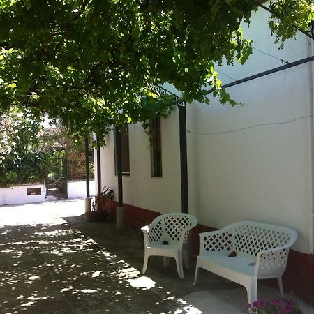 Casa Vacanze Paestum - Cilento Eksteriør bilde