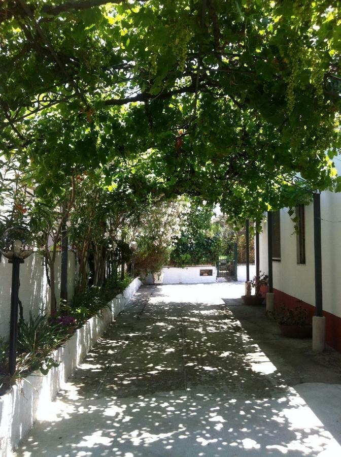 Casa Vacanze Paestum - Cilento Eksteriør bilde
